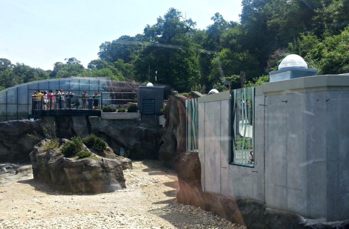 Schönbrunn-Zoo-Austria